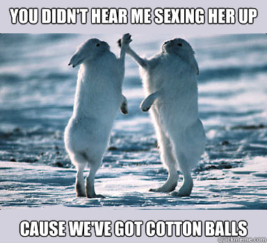 you didn't hear me sexing her up cause we've got cotton balls  