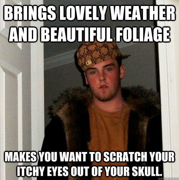 brings lovely weather and beautiful foliage makes you want to scratch your itchy eyes out of your skull. - brings lovely weather and beautiful foliage makes you want to scratch your itchy eyes out of your skull.  Scumbag Steve