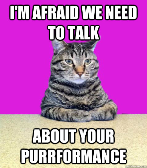 I'm afraid we need to talk About your purrformance  Disappointed Boss Cat