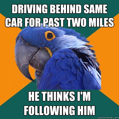 Driving behind Same car For past two miles he thinks I'm following him  Paranoid Parrot