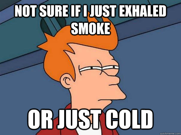 Not sure if i just exhaled smoke or just cold  Futurama Fry
