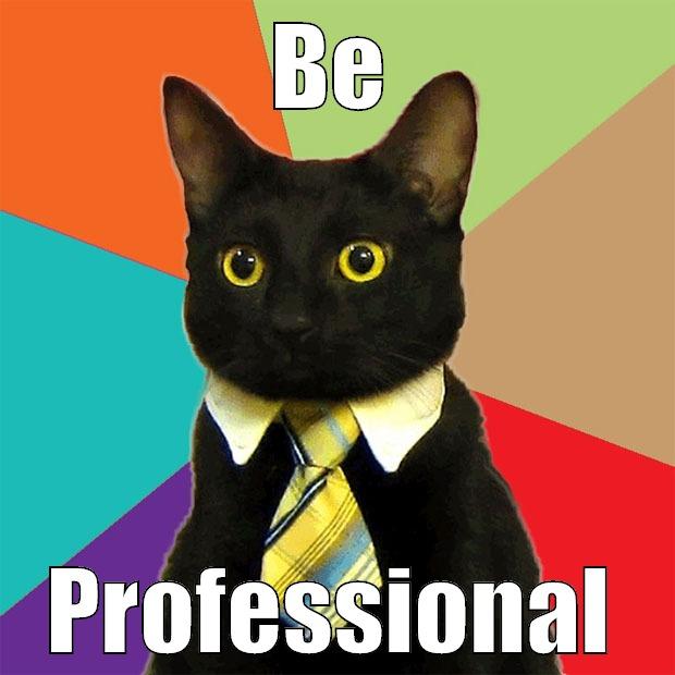 BE PROFESSIONAL Business Cat