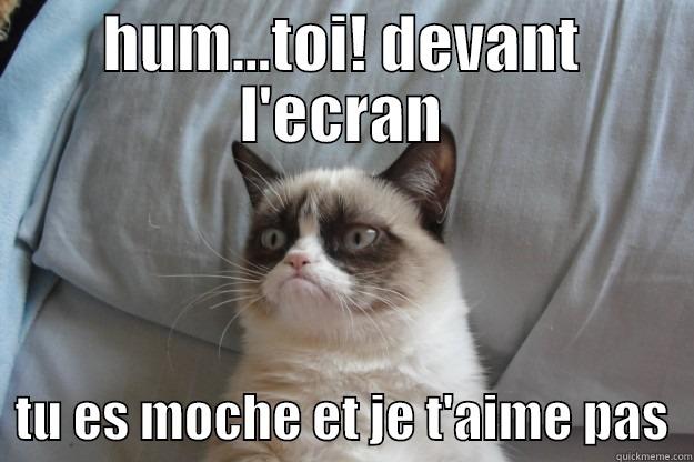 grumpy cat - HUM...TOI! DEVANT L'ECRAN   TU ES MOCHE ET JE T'AIME PAS  Grumpy Cat