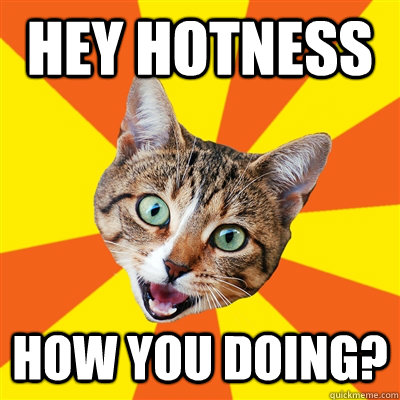 Hey hotness how you doing? - Hey hotness how you doing?  Bad Advice Cat