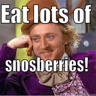 EAT LOTS OF  SNOSBERRIES! Condescending Wonka