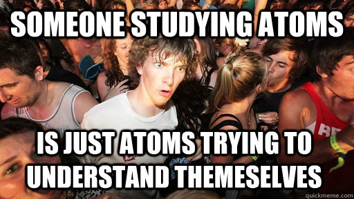 Someone studying atoms Is just atoms trying to understand themeselves  Sudden Clarity Clarence