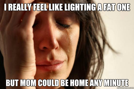 I REALLY FEEL LIKE LIGHTING A FAT ONE BUT MOM COULD BE HOME ANY MINUTE  First World Problems