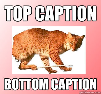 Top caption Bottom caption - Top caption Bottom caption  Ballerina Bobcat