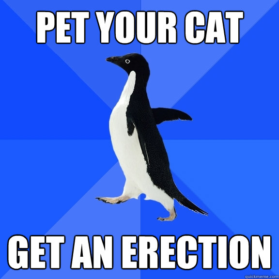 pet your cat get an erection  Socially Awkward Penguin