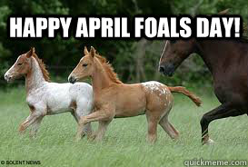 Happy april foals day!  april fools