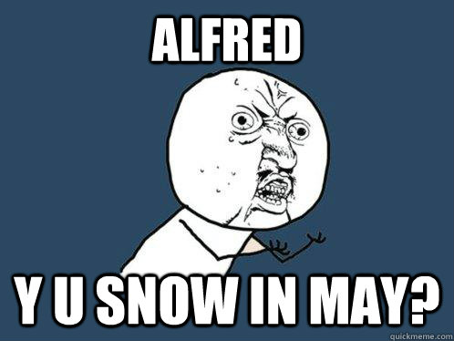 Alfred y u snow in May?  Y U No