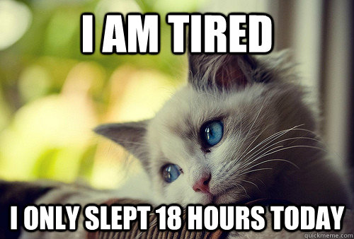 I am tired I only slept 18 hours today  First World Problems Cat