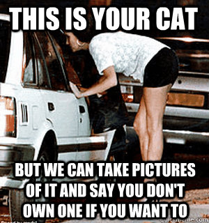 This is your cat But we can take pictures of it and say you don't own one if you want to  Karma Whore