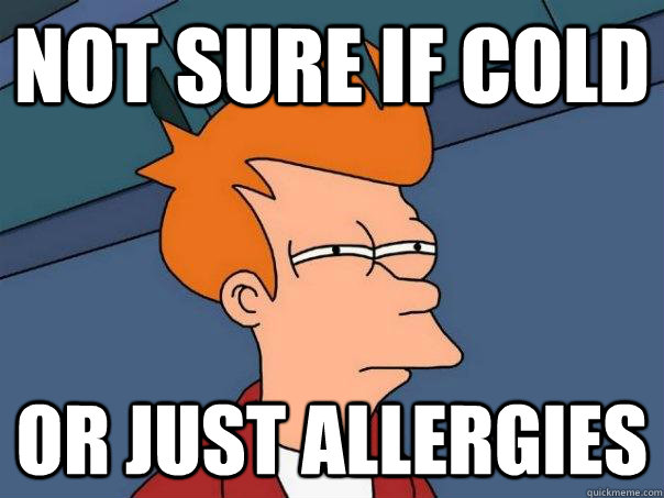 Not sure if cold or just allergies  Futurama Fry