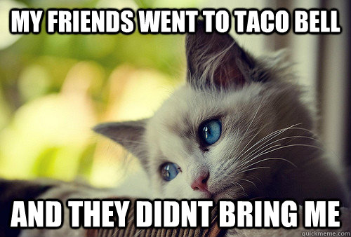 My friends went to Taco Bell and they didnt bring me  First World Cat Problems