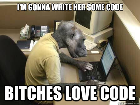 I'm gonna write her some code Bitches love code - I'm gonna write her some code Bitches love code  Code Monkey