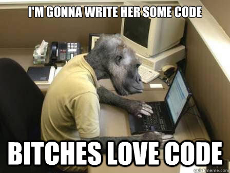 I'm gonna write her some code Bitches love code  Code Monkey