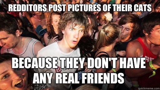 Redditors post pictures of their cats Because they don't have any real friends  Sudden Clarity Clarence