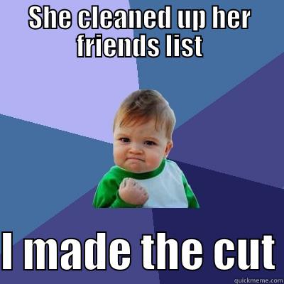SHE CLEANED UP HER FRIENDS LIST  I MADE THE CUT Success Kid