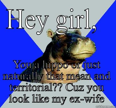 Hippo girl - HEY GIRL,  YOU A HIPPO OR JUST NATURALLY THAT MEAN AND TERRITORIAL?? CUZ YOU LOOK LIKE MY EX-WIFE Skeptical Hippo