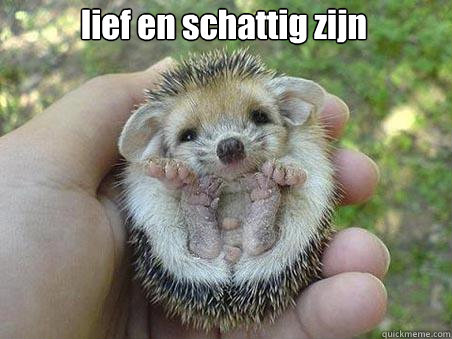lief en schattig zijn  