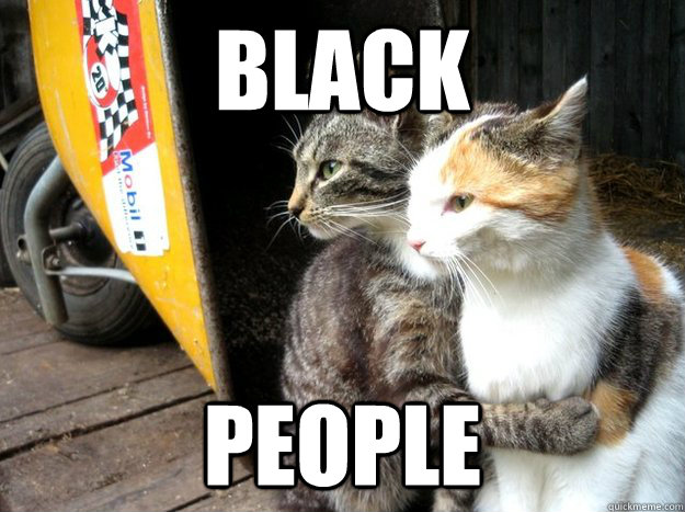 black people  Restraining Cat