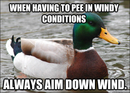 When having to pee in windy conditions  ALWAYS AIM DOWN WIND.  Actual Advice Mallard