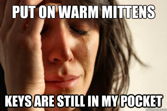 Put on warm mittens Keys are still in my pocket  First World Problems