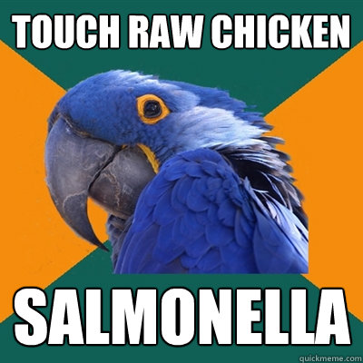 Touch raw chicken SALMONELLA  Paranoid Parrot