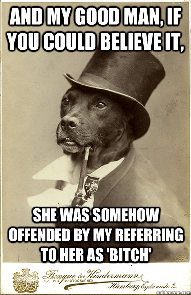 and my good man, if you could believe it, she was somehow offended by my referring to her as 'bitch'  Old Money Dog