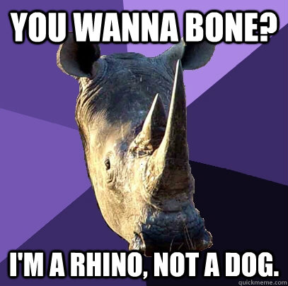 You Wanna bone? I'm a rhino, not a dog.  Sexually Oblivious Rhino