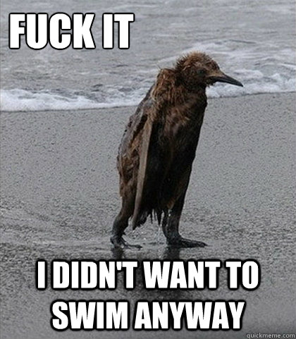Fuck it I didn't want to swim anyway  Fuck it