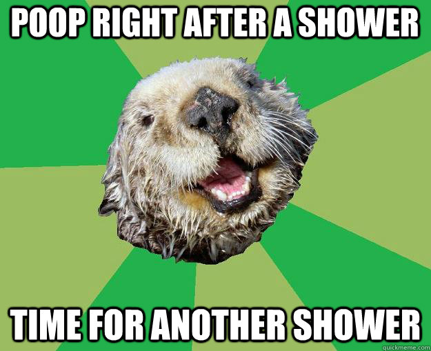 Poop right after a shower time for another shower  OCD Otter