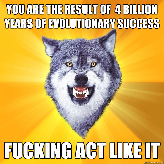 You are the result of  4 billion years of evolutionary success FUCKING ACT LIKE IT  Courage Wolf