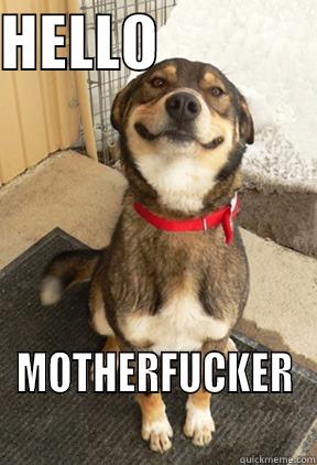 HELLO              MOTHERFUCKER Good Dog Greg