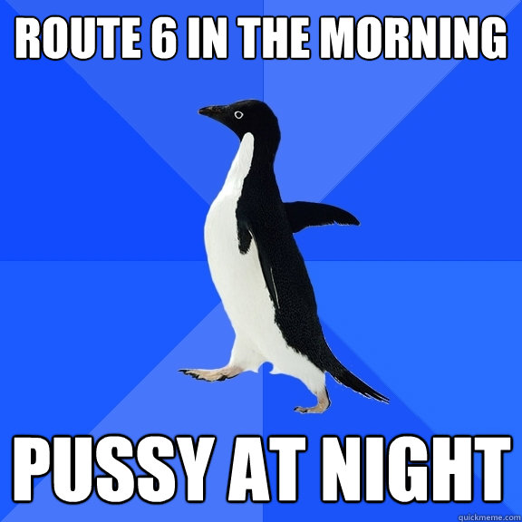 Route 6 in the morning Pussy at night  Socially Awkward Penguin