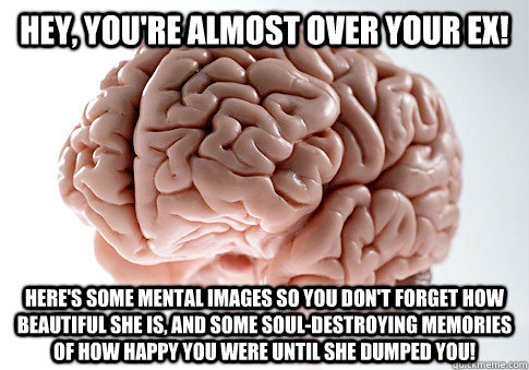 HEY, YOU'RE ALMOST OVER YOUR EX! HERE'S SOME MENTAL IMAGES SO YOU DON'T FORGET HOW BEAUTIFUL SHE IS, AND SOME SOUL-DESTROYING MEMORIES OF HOW HAPPY YOU WERE UNTIL SHE DUMPED YOU!   Scumbag Brain
