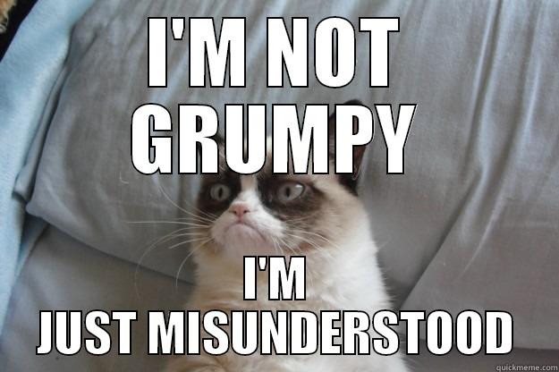 I'M NOT GRUMPY I'M JUST MISUNDERSTOOD Grumpy Cat