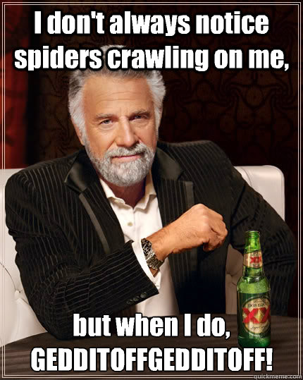 I don't always notice spiders crawling on me, but when I do, GEDDITOFFGEDDITOFF!  The Most Interesting Man In The World