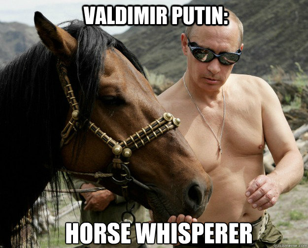 Valdimir Putin: Horse whisperer - Valdimir Putin: Horse whisperer  Putin