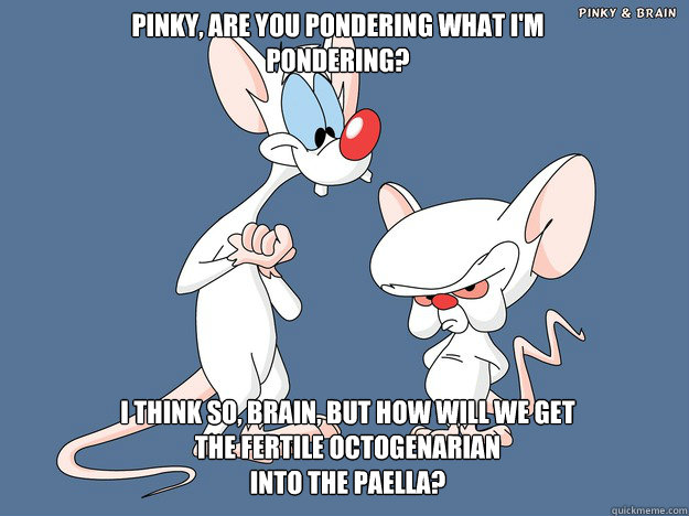 Pinky, are you pondering what I'm pondering? I think so, Brain, but how will we get the fertile octogenarian 
into the paella? - Pinky, are you pondering what I'm pondering? I think so, Brain, but how will we get the fertile octogenarian 
into the paella?  Misc