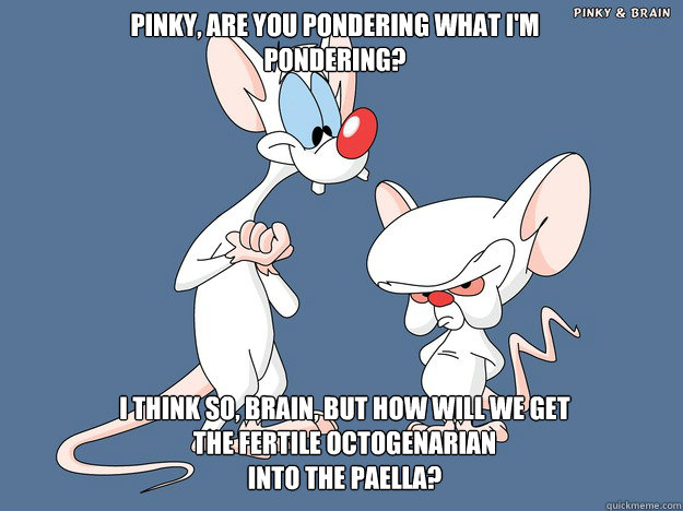 Pinky, are you pondering what I'm pondering? I think so, Brain, but how will we get the fertile octogenarian 
into the paella?  