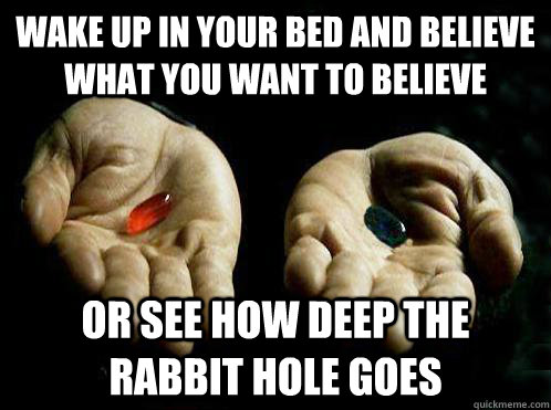 wake up in your bed and believe what you want to believe or see how deep the rabbit hole goes  