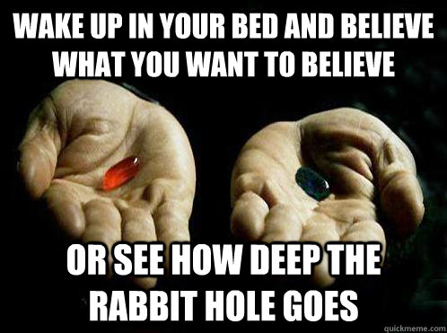 wake up in your bed and believe what you want to believe or see how deep the rabbit hole goes  