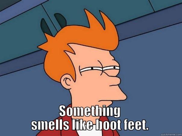  SOMETHING SMELLS LIKE BOOT FEET. Futurama Fry