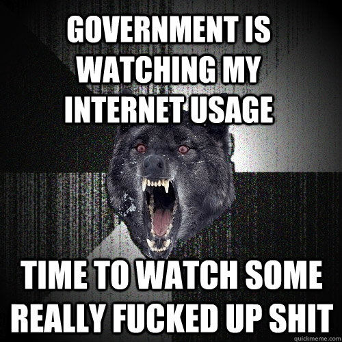Government is watching my internet usage time to watch some really fucked up shit  Insanity Wolf