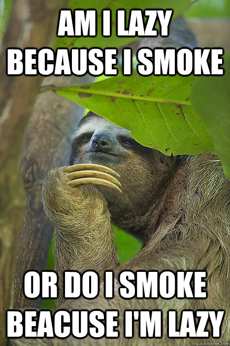 Am I lazy because I smoke or do I smoke beacuse i'm lazy  Philososloth