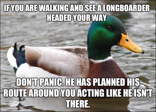 If you are walking and see a longboarder headed your way Don't panic. He has planned his route around you acting like he isn't there. - If you are walking and see a longboarder headed your way Don't panic. He has planned his route around you acting like he isn't there.  Actual Advice Mallard