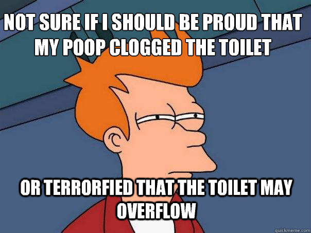Not sure if I should be proud that my poop clogged the toilet Or terrorfied that the toilet may overflow - Not sure if I should be proud that my poop clogged the toilet Or terrorfied that the toilet may overflow  Futurama Fry