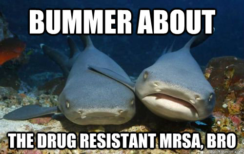 Bummer about the drug resistant MRSA, bro  Compassionate Shark Friend